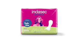 Indasec 
